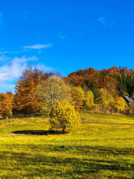 青空の下で紅葉が美しい秋の風景 — ストック写真