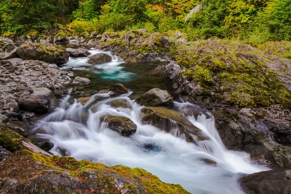 Den Vackra Floden Skogen — Stockfoto