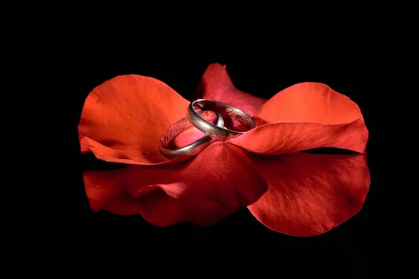 Pohled Červené Květy Okvětní Lístky Snubními Prsteny Uvnitř Izolované Černém — Stock fotografie