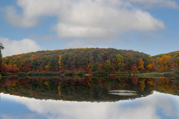 Kalme Vijver Het Meer Tegen Bewolkte Lucht Herfst — Stockfoto