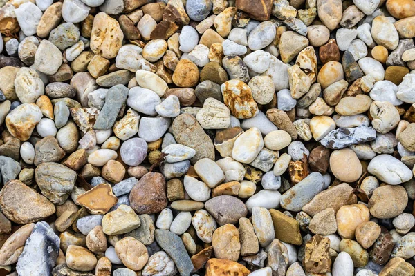 Primer Plano Piedras Guijarro Mojado —  Fotos de Stock