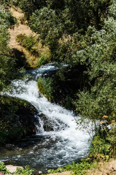 Piękna Rzeka Lesie — Zdjęcie stockowe
