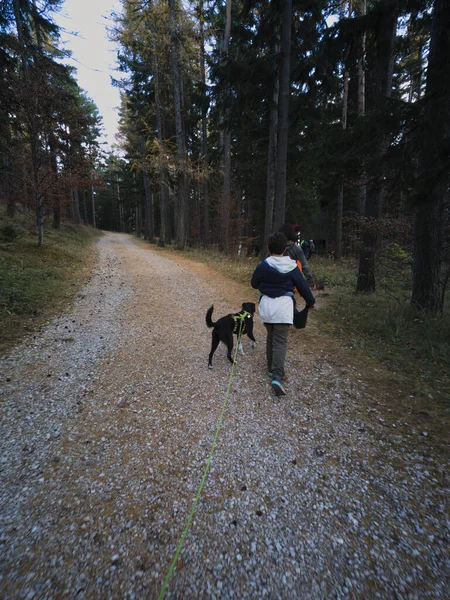 Kinder Und Ihr Hund Laufen Auf Einem Waldweg — Stockfoto