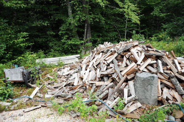 Primer Plano Montón Bosques Cortados Cerca Del Bosque — Foto de Stock