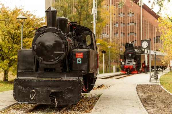 Poznan Polen Okt 2021 Twee Vintage Tentoonstellingslocomotieven Het Rataje Park — Stockfoto