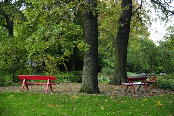 Green Park Trees Red Benches Daylight — Stock Photo, Image
