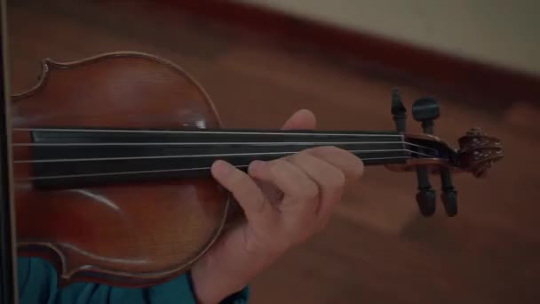 バイオリンは音楽家の手に渡り — ストック動画