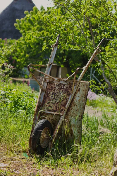 Eine Vertikale Nahaufnahme Einer Alten Gartenschubkarre Umgeben Von Grüner Vegetation — Stockfoto