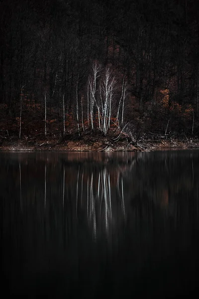 Gecenin Geç Saatlerinde Bir Gölün Üzerindeki Orman Yansımasının Güzel Bir — Stok fotoğraf