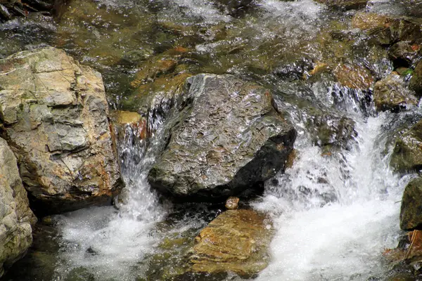 河流上的一杆石子 — 图库照片