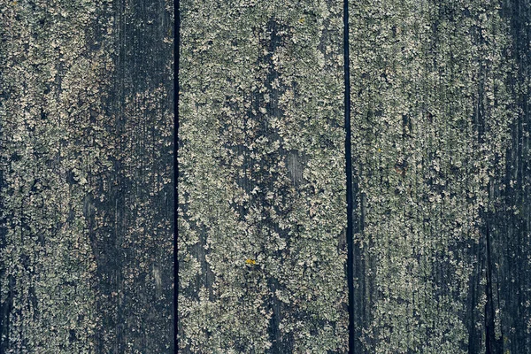 古い木の材料 壁紙に最適 — ストック写真