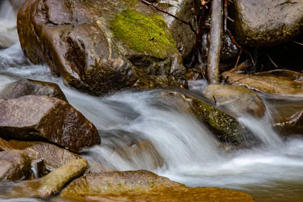 Uma Bela Vista Água Nascente Com Rochas Uma Floresta — Fotografia de Stock