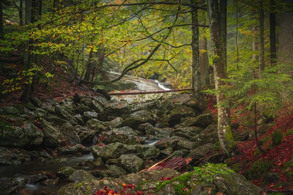 川が流れる秋のバイエルンの森の景勝地 — ストック写真