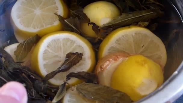 Frische Zitronenscheiben Auf Einem Weißen Teller — Stockvideo