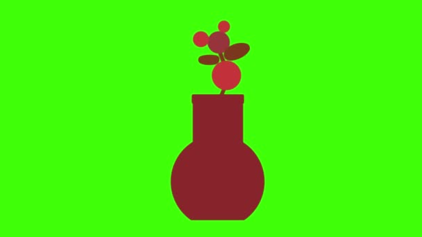 식물의 애니메이션 Vfx — 비디오