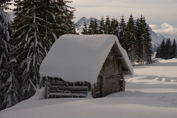 Een Kleine Houten Hut Een Dennenbos Bergen Bedekt Met Sneeuw — Stockfoto