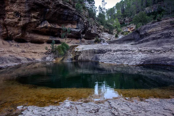 Quesa Espagne Oct 2021 Une Belle Vue Sur Les Flaques — Photo