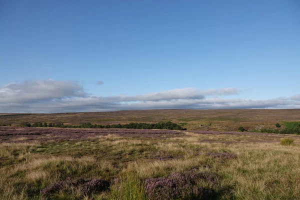 Ein Malerischer Blick Über Die North Yorkshire Moors Unter Blauem — Stockfoto
