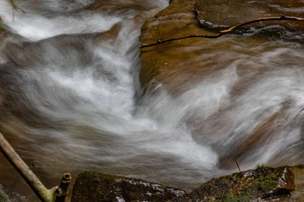 Ein Schöner Blick Auf Quellwasser Mit Felsen Einem Wald — Stockfoto