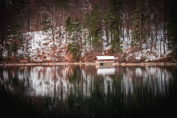 Vue Panoramique Une Petite Maison Sur Rivage Lac Une Forêt — Photo
