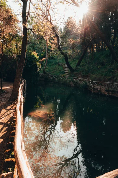 Eine Schöne Aufnahme Rhodos Rodini Park Griechenland — Stockfoto