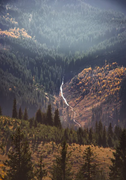 Gyönyörű Kilátás Nyílik Magas Zöld Hegyek Dombok Zöld Erdő Fák — Stock Fotó