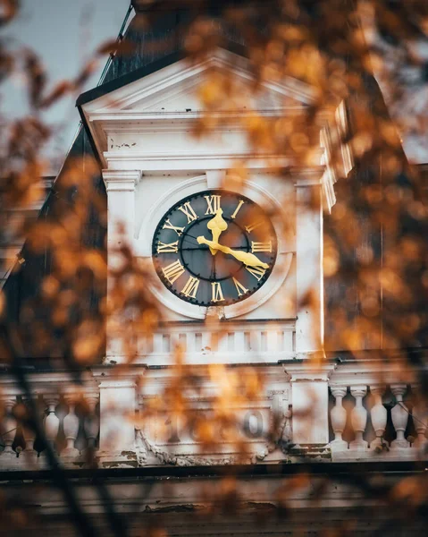 Eine Vertikale Aufnahme Einer Uhr Auf Einem Gebäudeturm Hinter Ästen — Stockfoto