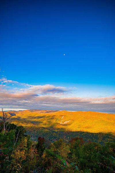 Vertikální Záběr Krásné Podzimní Krajiny Blue Ridge Parkway Virginii Spojené — Stock fotografie