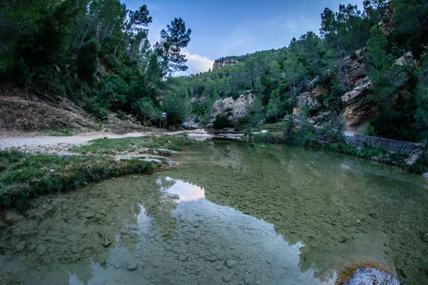 Quesa Španělsko Října 2021 Krásný Pohled Vodní Louže Odlesky Stromů — Stock fotografie