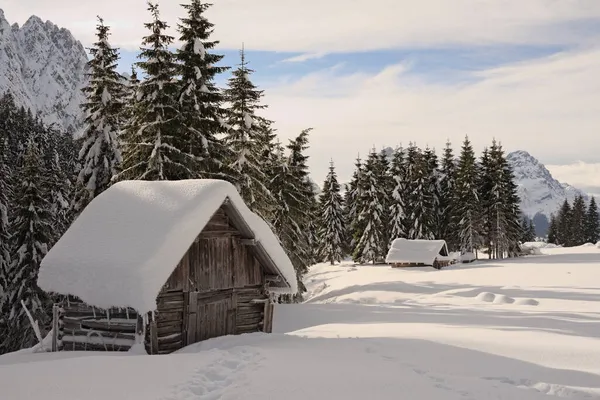 Liten Trästuga Gran Skog Bergen Täckt Med Snö — Stockfoto