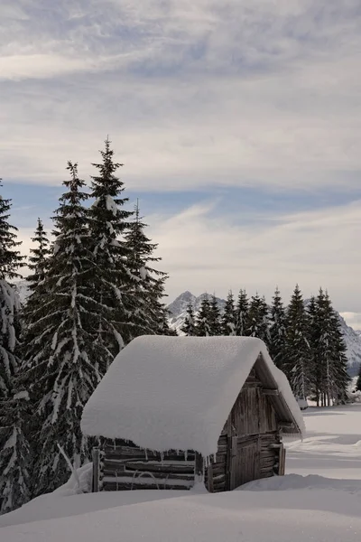 Een Kleine Houten Hut Een Dennenbos Bergen Bedekt Met Sneeuw — Stockfoto