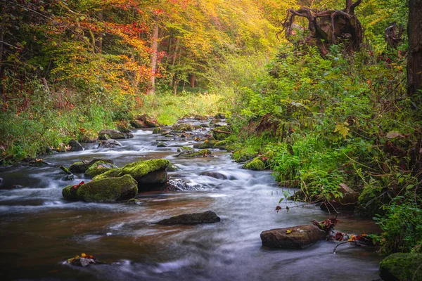 Eine Malerische Aufnahme Eines Flusses Der Durch Den Herrlichen Herbstwald — Stockfoto
