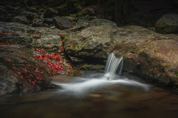 Uma Cena Das Cachoeiras Rissloch Perto Bodenmais Floresta Baviera Alemanha — Fotografia de Stock
