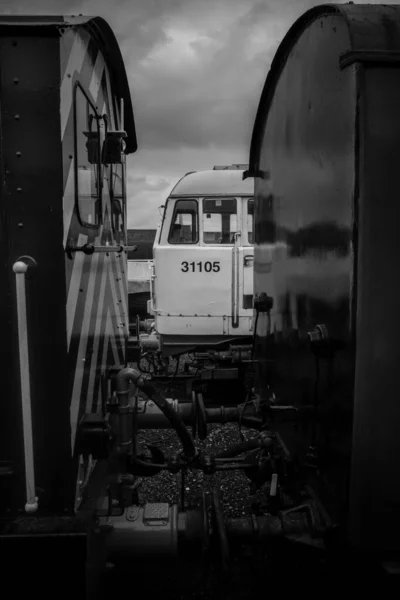 Een Grijswaarden Opname Van Een Trein — Stockfoto