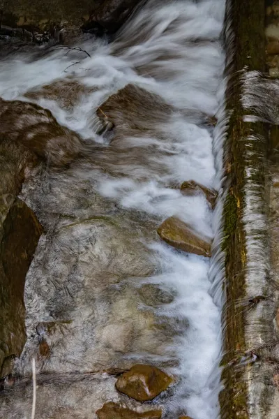 森林里有岩石的泉水美景 — 图库照片