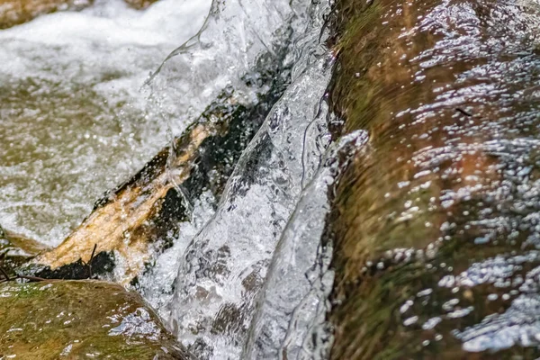 Uma Bela Vista Água Nascente Com Rochas Uma Floresta — Fotografia de Stock