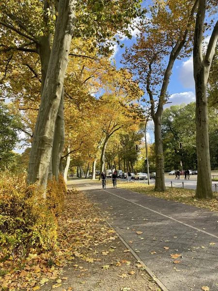 Berlim Alemanha Outubro 2021 Caminho Entre Árvores Coloridas Outono Parque — Fotografia de Stock