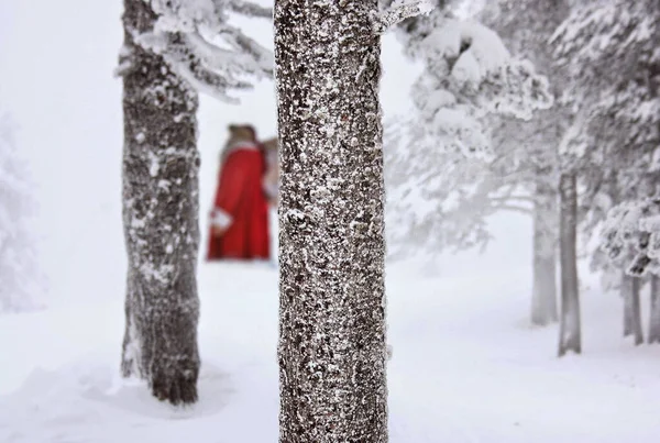 겨울에 눈으로 아름다운 — 스톡 사진