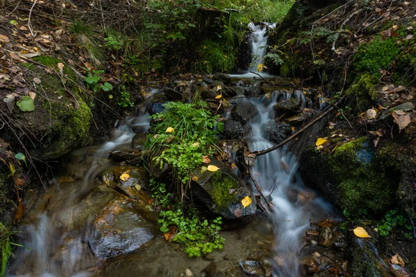 森の中の小さな滝の低角度のショット — ストック写真
