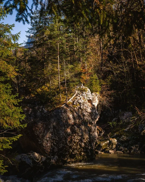 Eine Vertikale Aufnahme Der Bäume Und Des Felsens Wald Herbst — Stockfoto