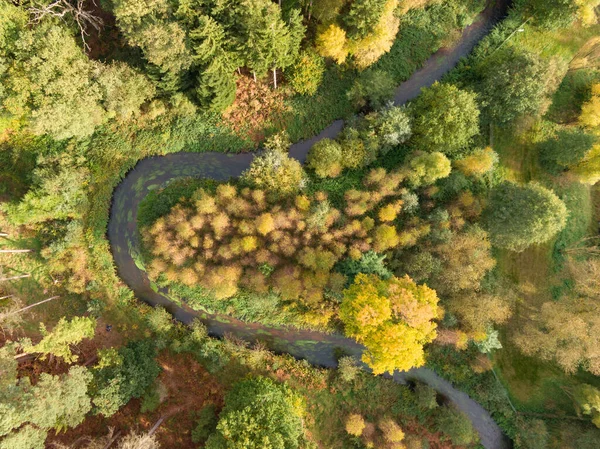Piękny Antenowy Strzał Rzeki Przepływającej Przez Jesienny Las — Zdjęcie stockowe