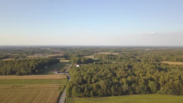 Luftaufnahme Der Felder Und Wälder Sommer — Stockvideo