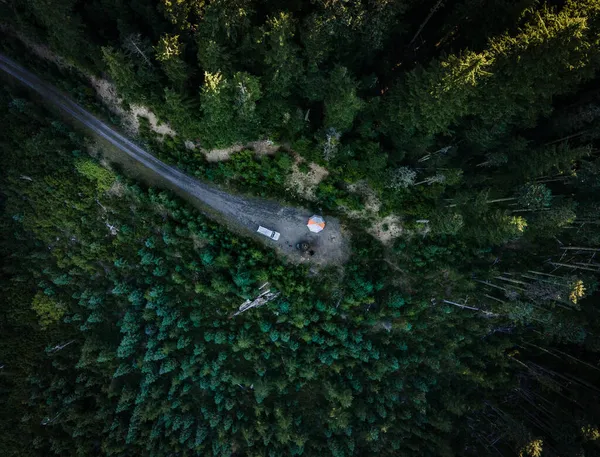Воздушный Снимок Тупиковой Тропы Посреди Зеленого Леса — стоковое фото