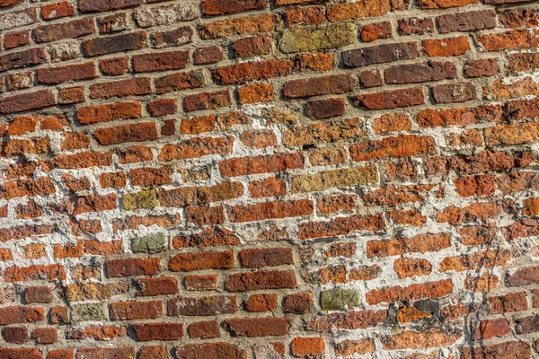 Brugge Belçika Kırmızı Tuğlalı Taş Bir Duvar — Stok fotoğraf