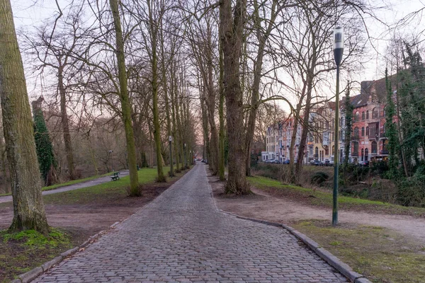 Una Bella Vista Alberi Brulli Lungo Sentiero Brugge Belgio Tramonto — Foto Stock