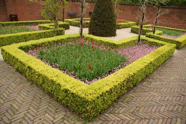네덜란드의 공원에서 수있는 장식의 아름다운 — 스톡 사진
