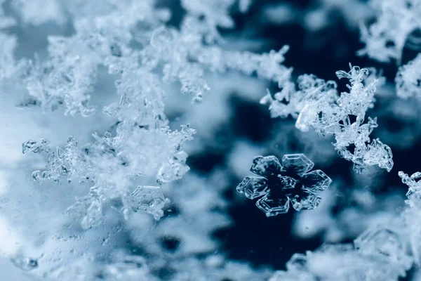 Verschillende Smeltende Sneeuwvlokken Een Glazen Oppervlak — Stockfoto