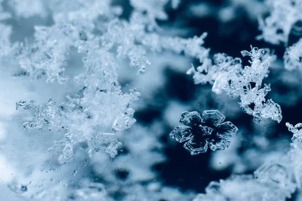 Diversi Fiocchi Neve Fondenti Una Superficie Vetro — Foto Stock