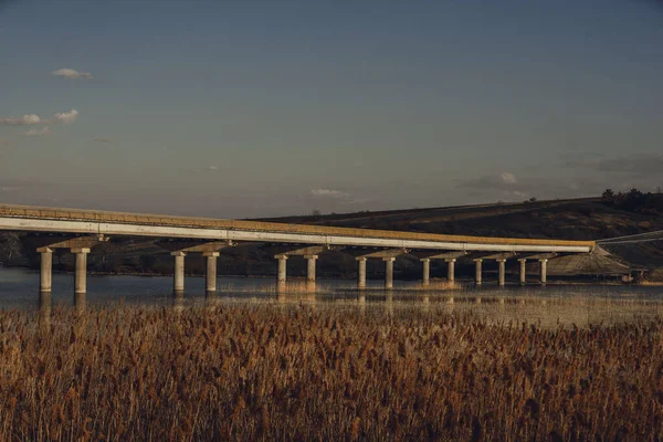 Een Betoverend Uitzicht Een Viaduct Water Met Wild Gras Met — Stockfoto