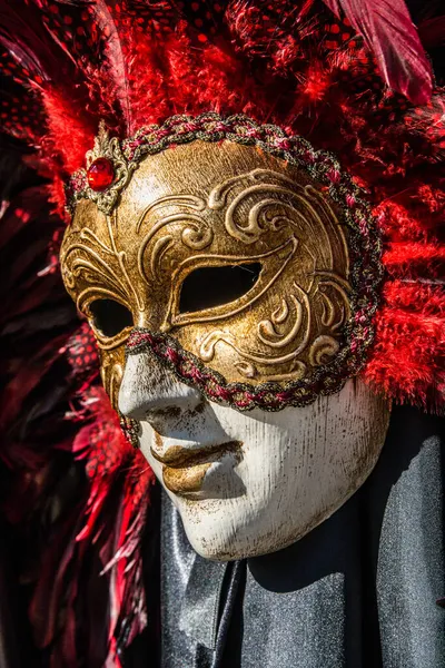 意大利威尼斯一个戴着威尼斯狂欢节面具的人的纵向照片 — 图库照片